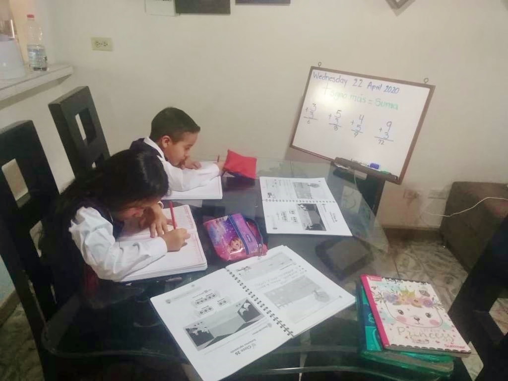 SUSPENSIÓN DE CLASES PRESENCIALES DURANTE LA VIGENCIA 2020, ANTE LA EMERGENCIA SANITARIA